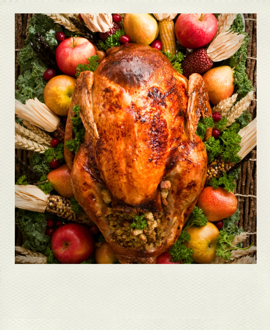 Mrs. Mayfair’s Perfect Roast Turkey with Apple Chestnut Stuffing and Maple-Glazed Basting