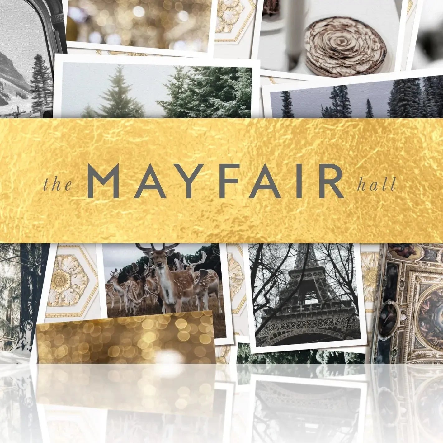 Shop Gift Cards The Mayfair Hall