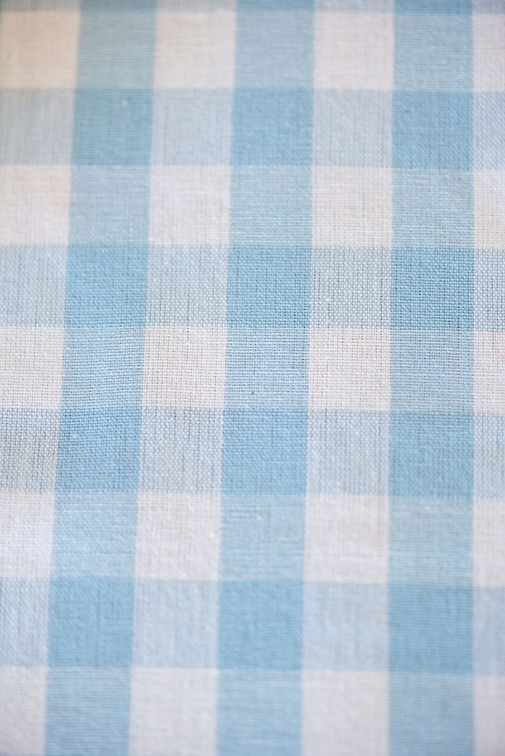 Blue Ruffled Gingham Dish Towel