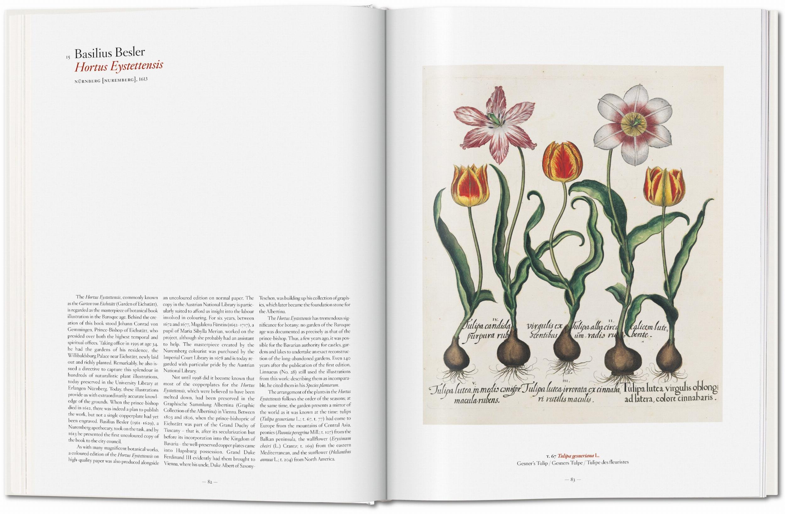 A Garden Eden. Masterpieces of Botanical Illustration (German, French, English)