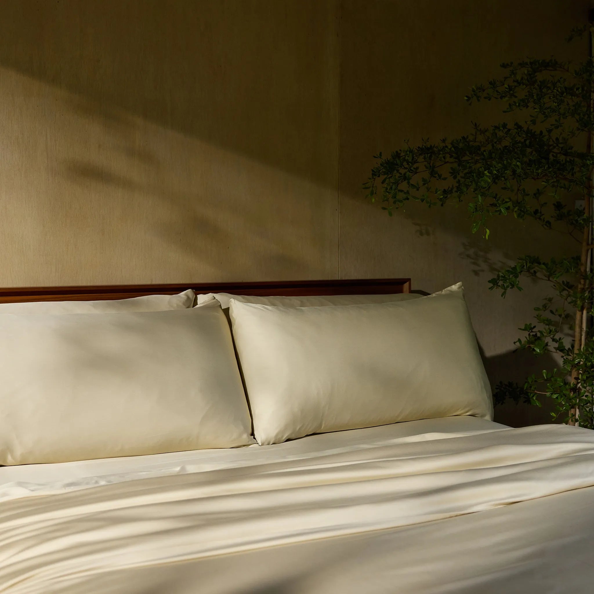 Bamboo Sheet Set