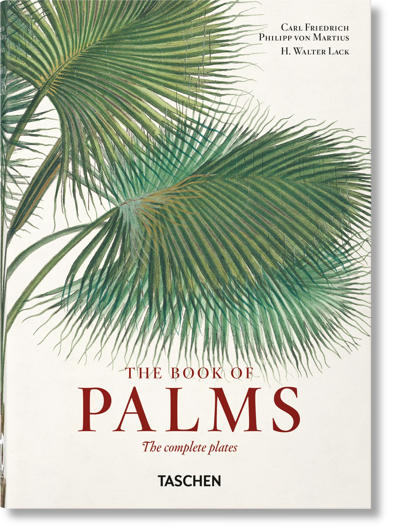 Martius. The Book of Palms. 40th Ed. (German, French, English)