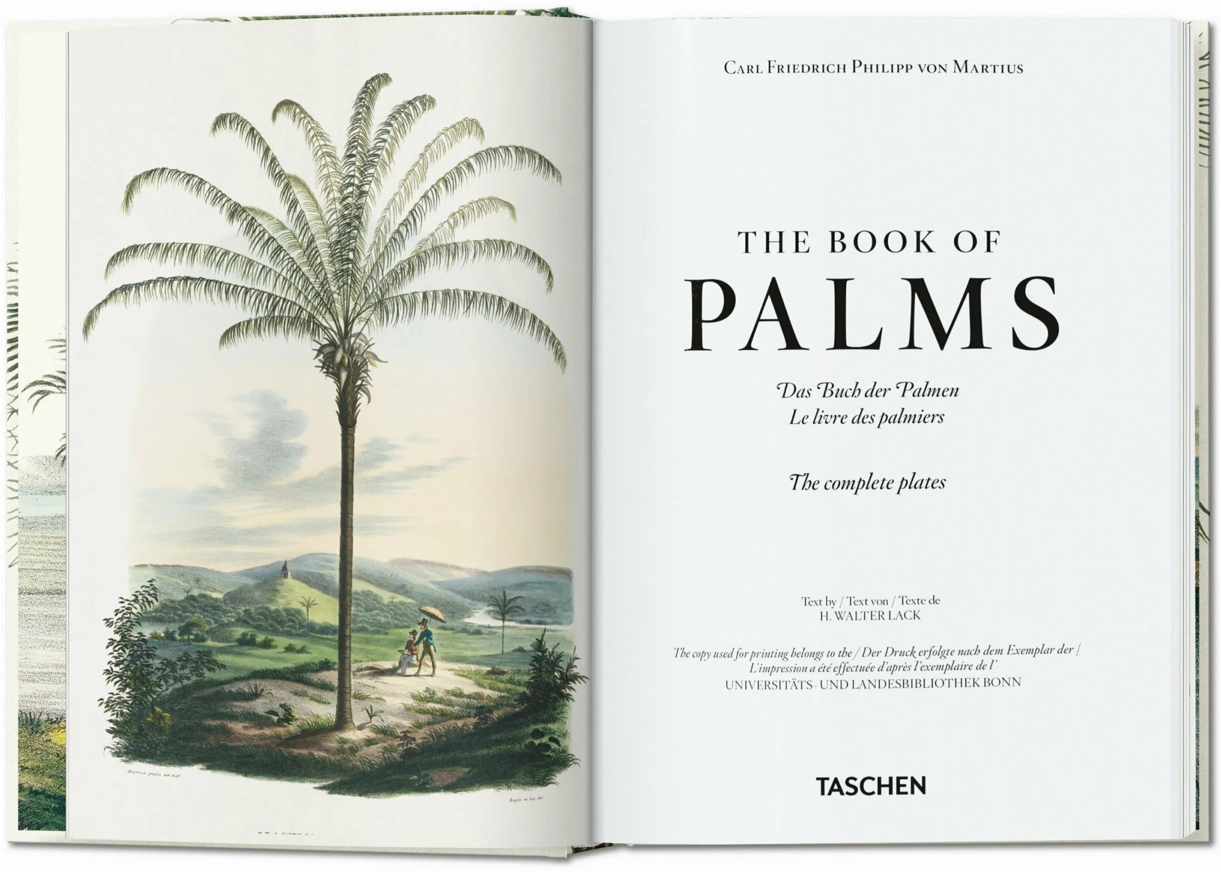 Martius. The Book of Palms. 40th Ed. (German, French, English)