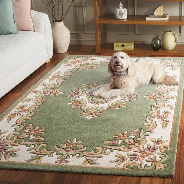 Aubusson Wool Rug in Green and Ivory