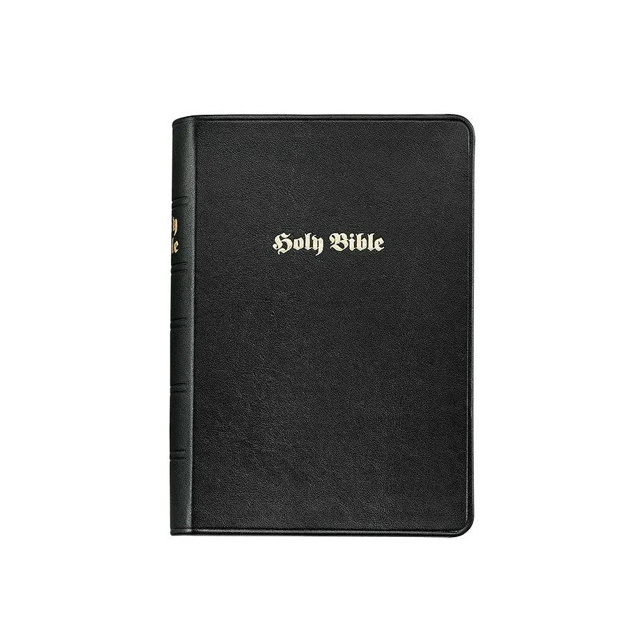 Graphic Image The Holy Bible