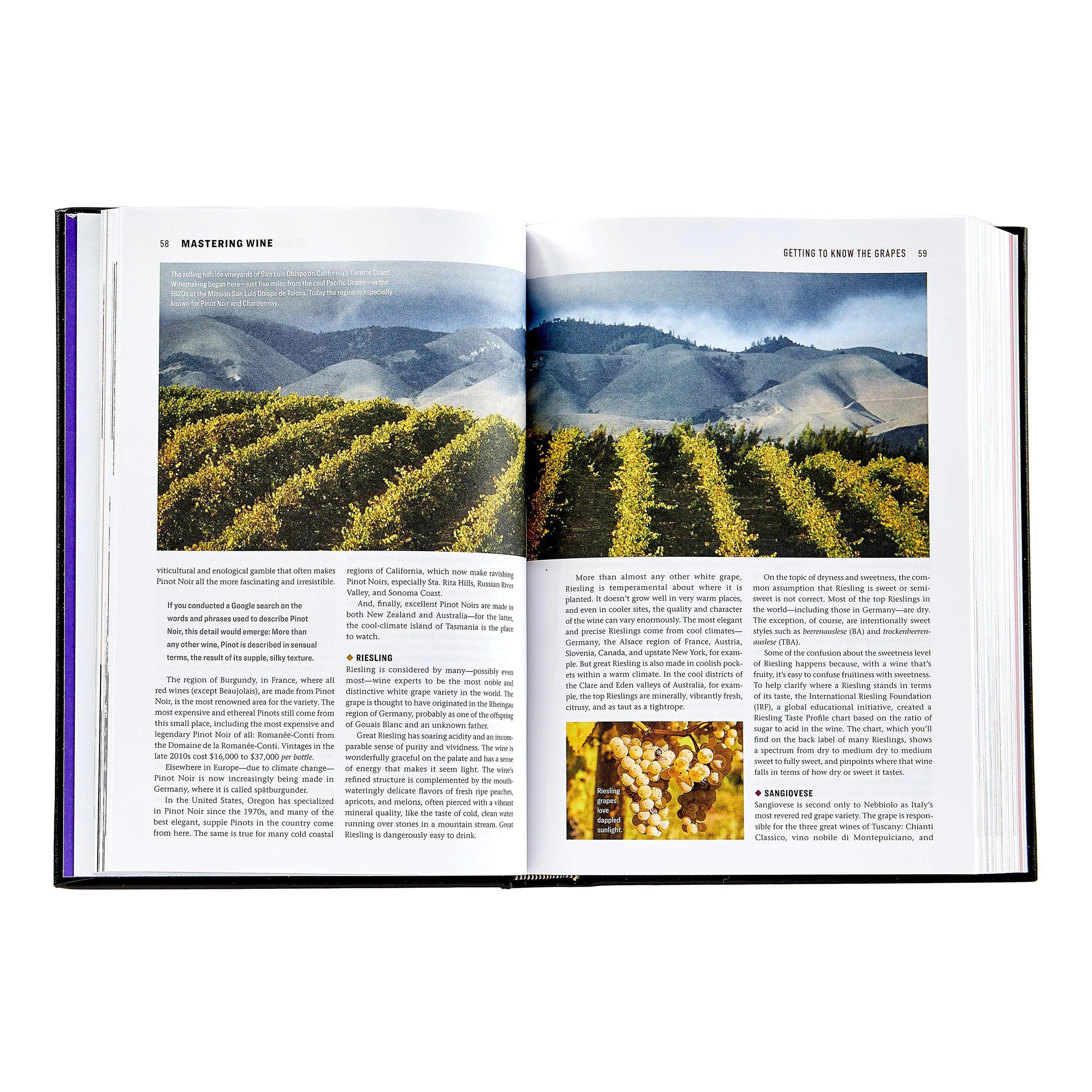 Graphic Image The Wine Bible