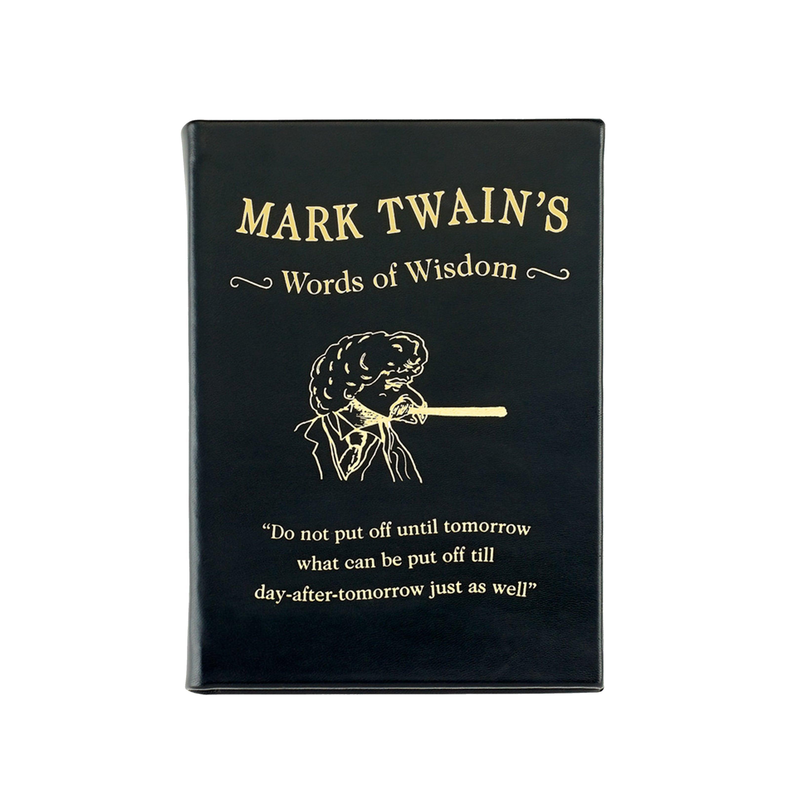 Graphic Image Mark Twain's Words of Wisdom