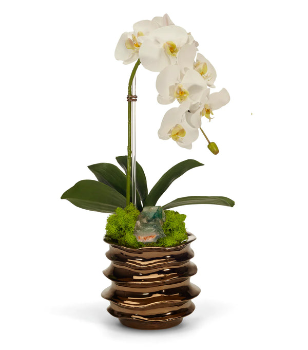 Orchid in Bronze Wavy Pot