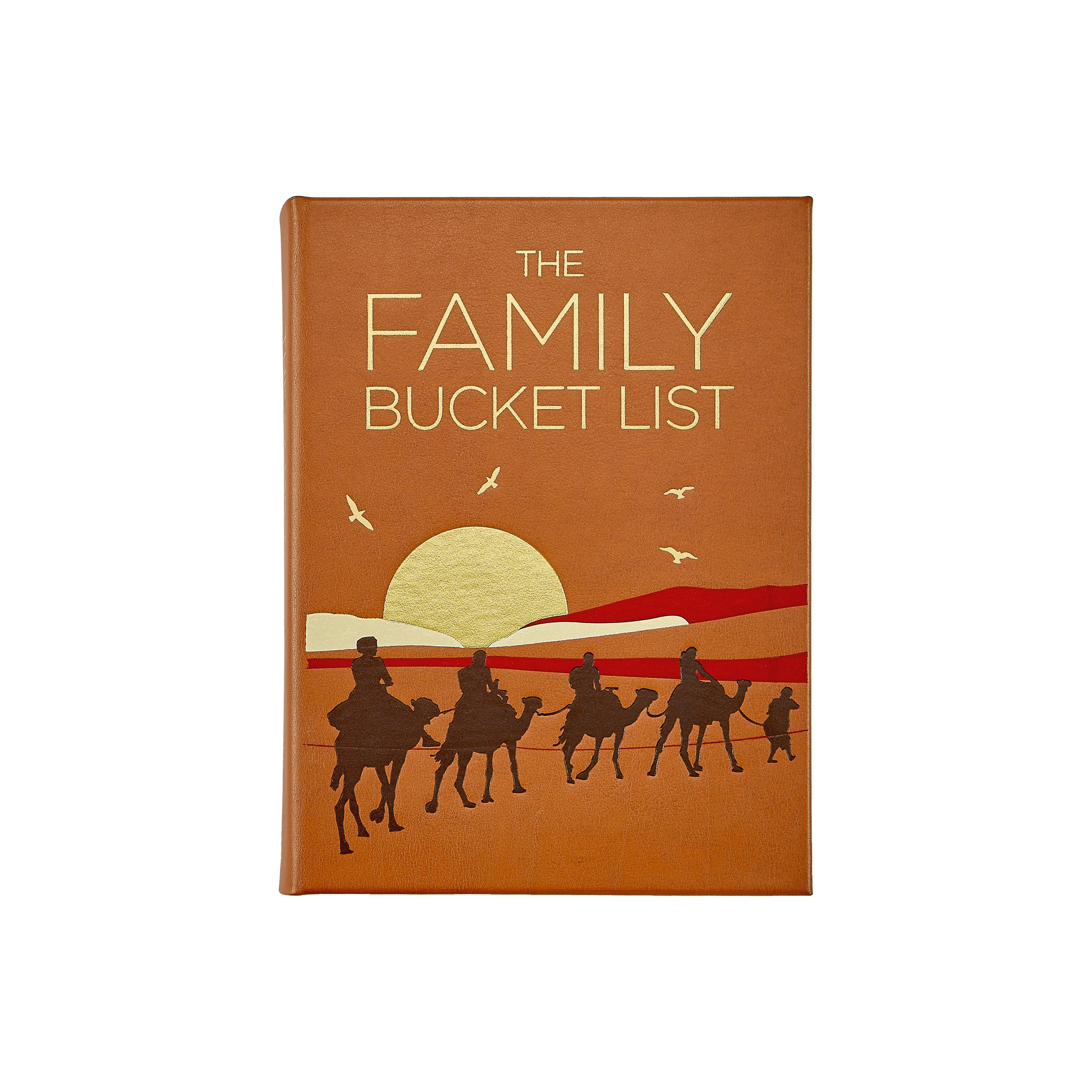 Graphic Image The Family Bucket List