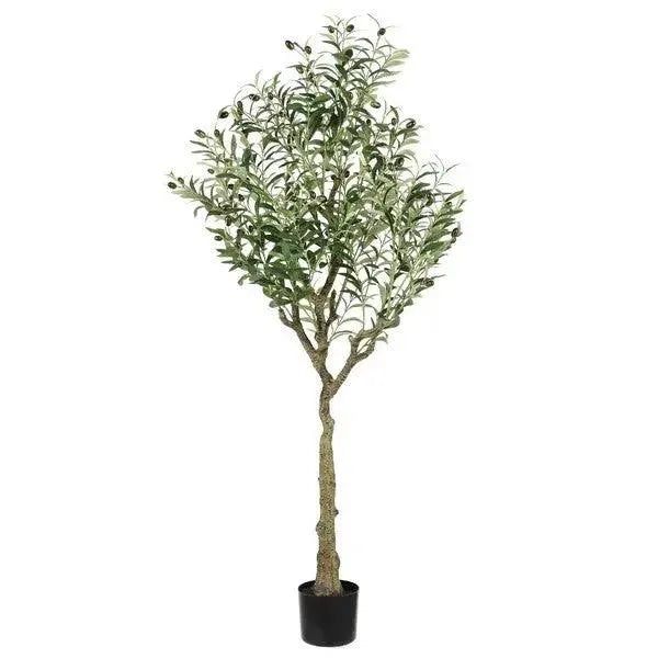 Safavieh Faux Olive 60" Potted Tree