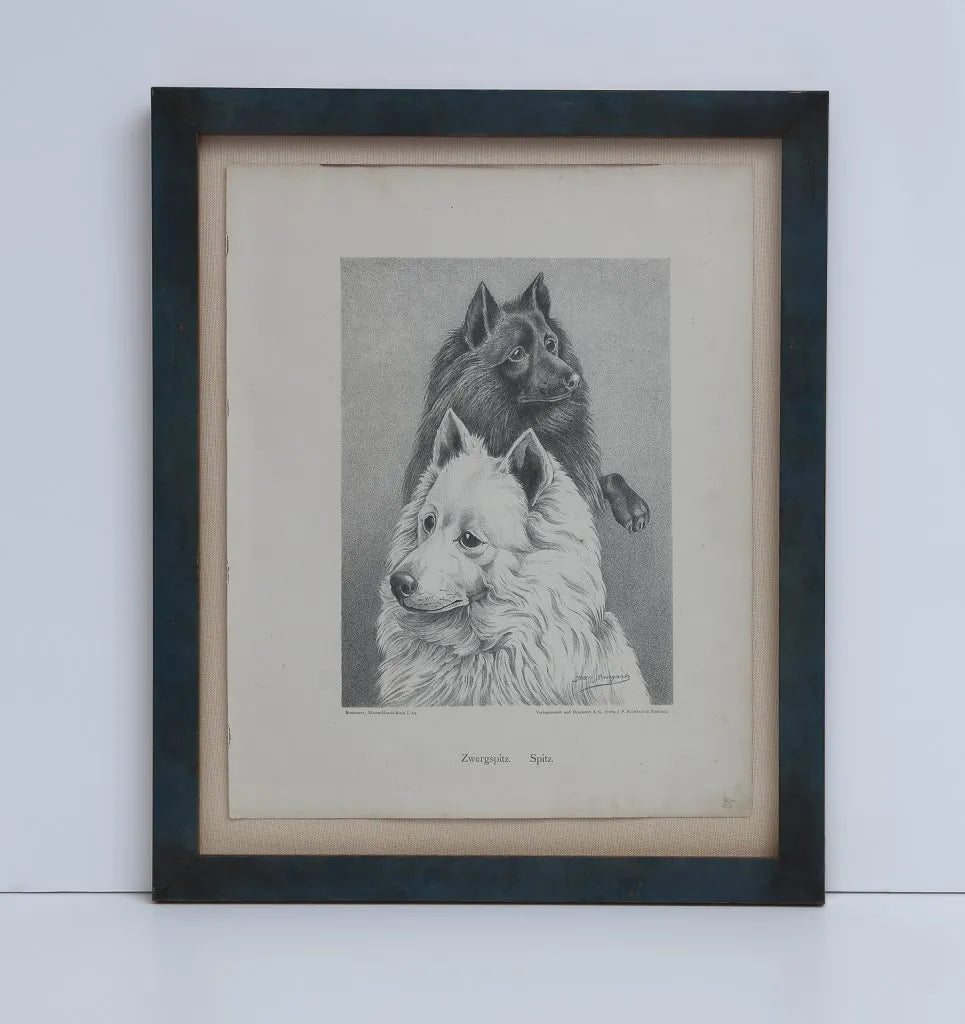 Jean Bungartz Dog Art Head Study Print Set