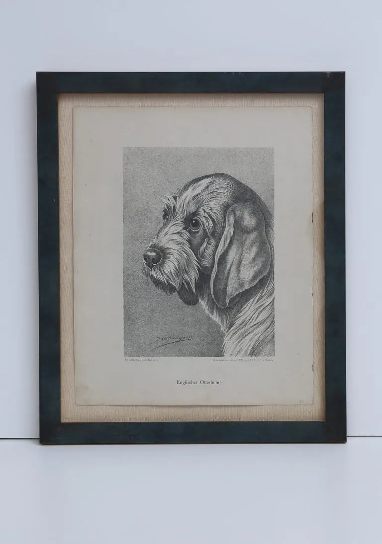 Jean Bungartz Dog Art Head Study Print Set