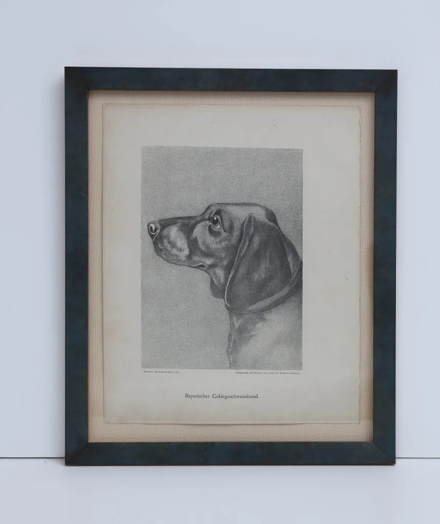 Jean Bungartz Dog Art Head Study Print Set