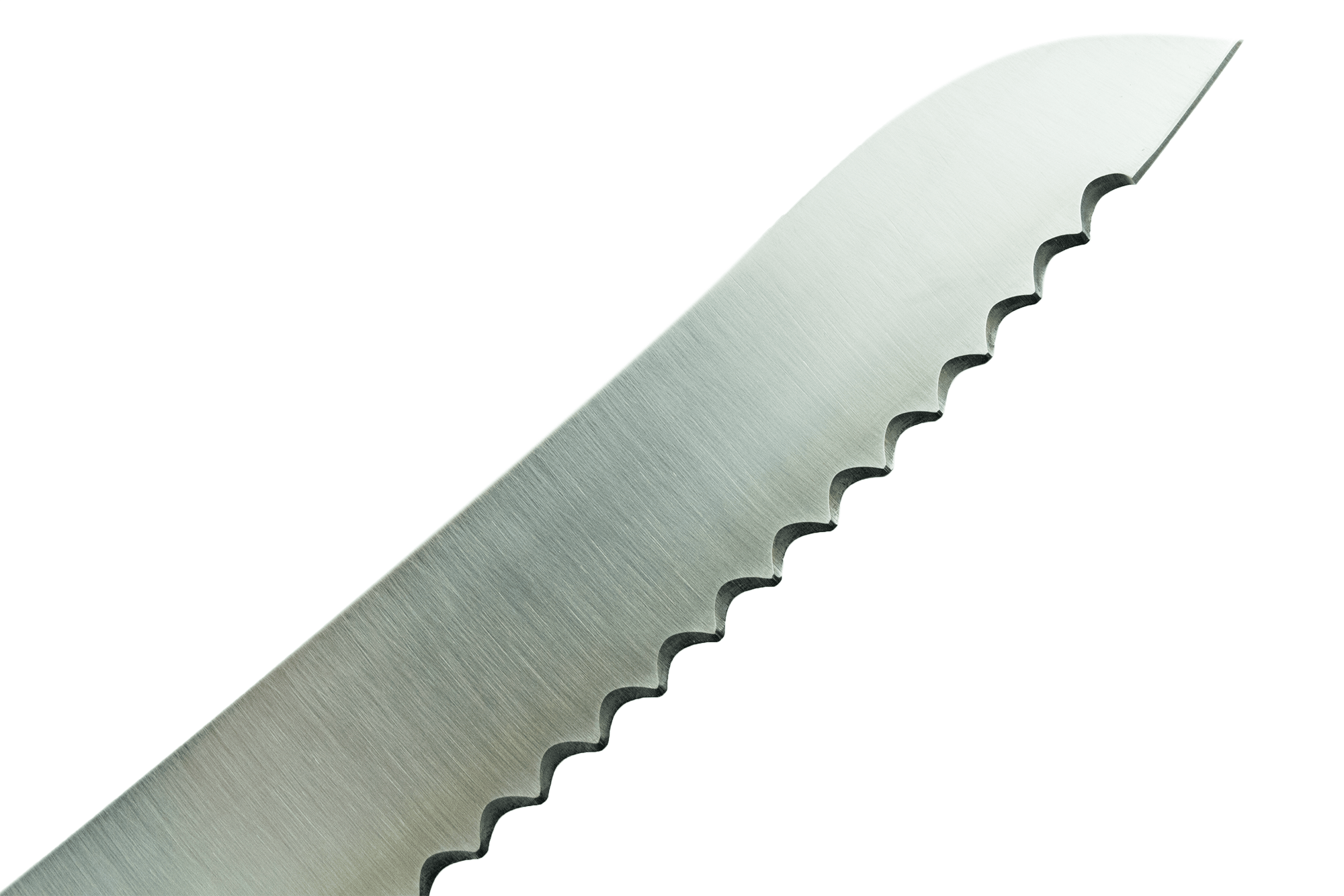 Bread Knife in Stainless Steel (11.8 inches)