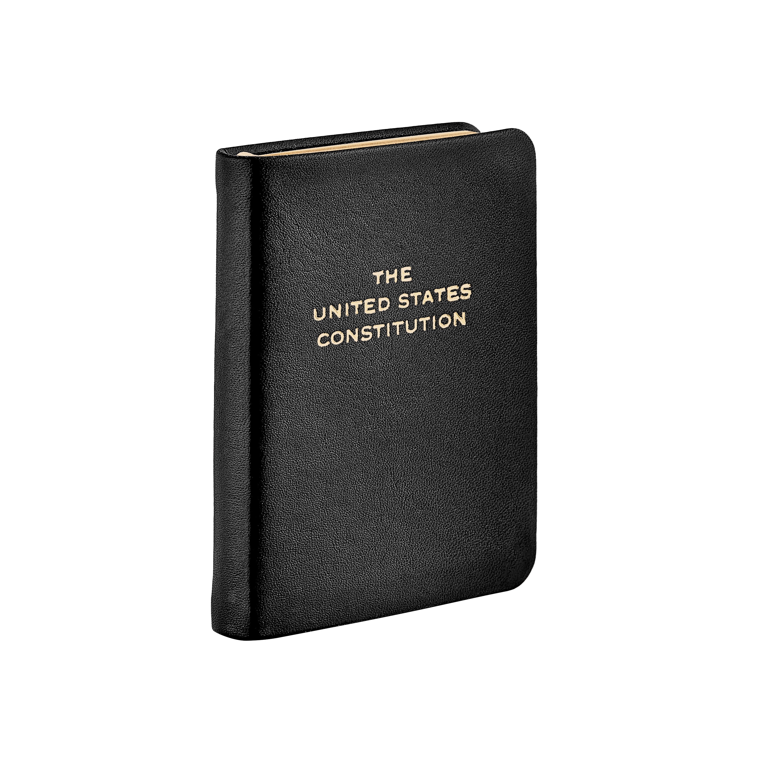 Mini United States Constitution