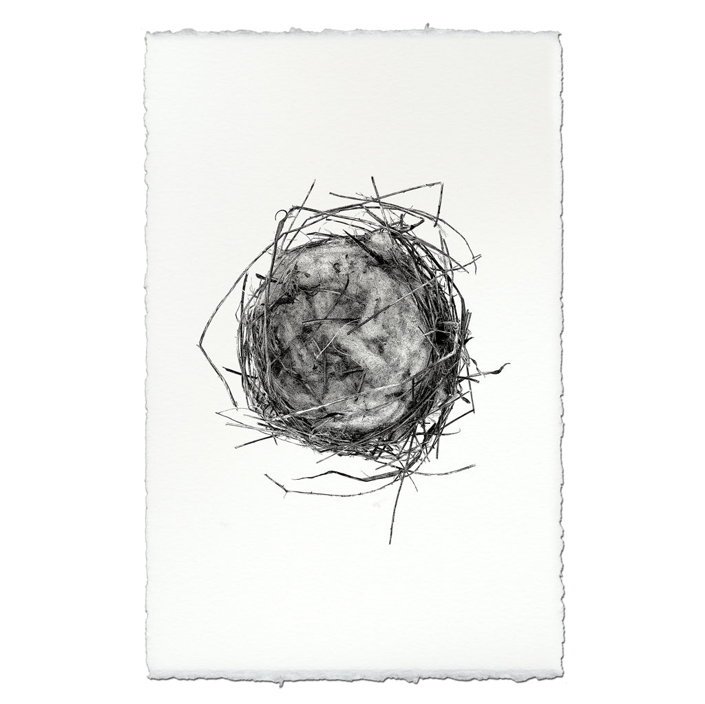 Nest Study #7