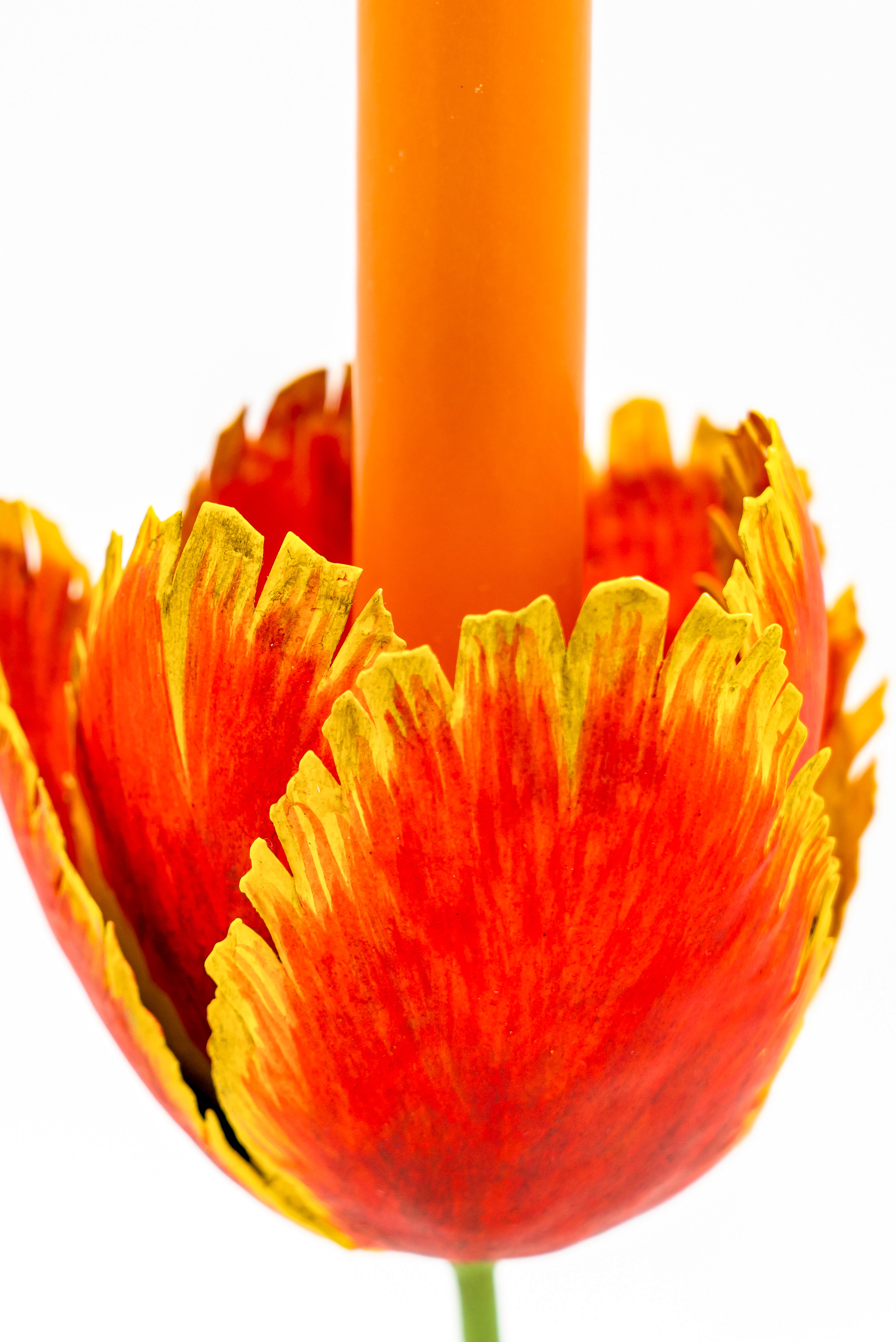 Tulip Candleholders - Medium 10"