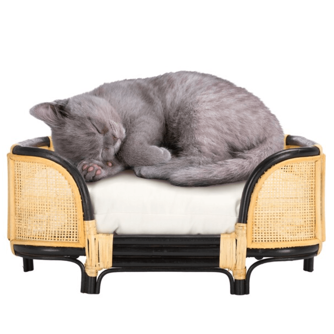 Timo Rattan Pet Bed with Removable Cushion