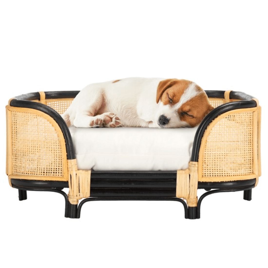 Timo Rattan Pet Bed with Removable Cushion