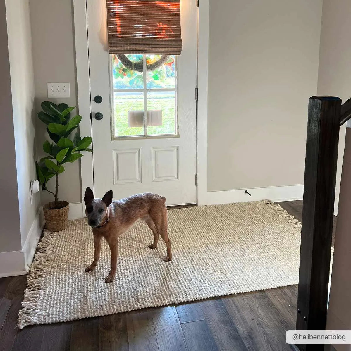 Senneterre Bleached Jute Rug