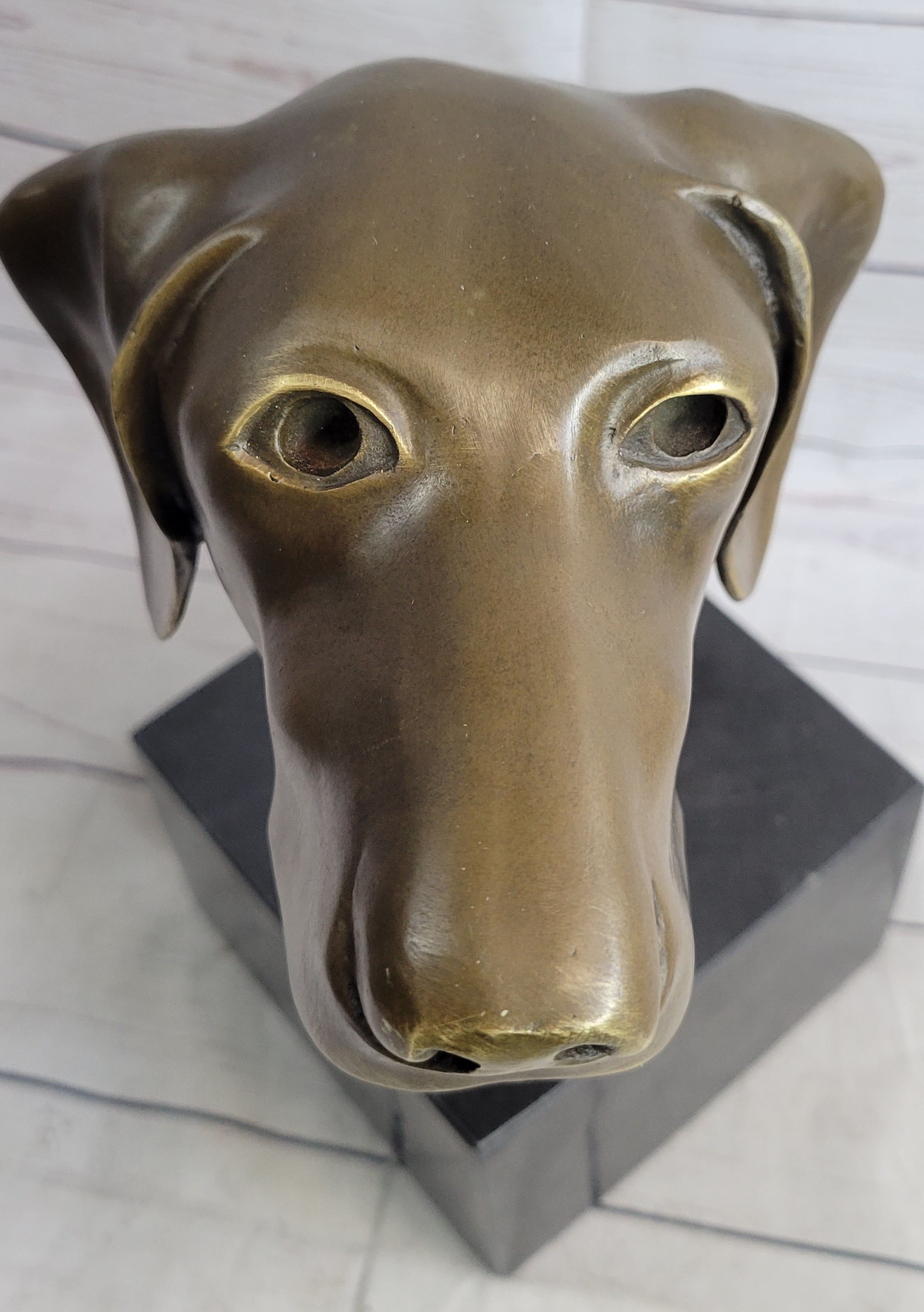 Weimaraner Vizsla Dog Bronze Bust Sculpture Statue Home Decor Figurine on Marble Base