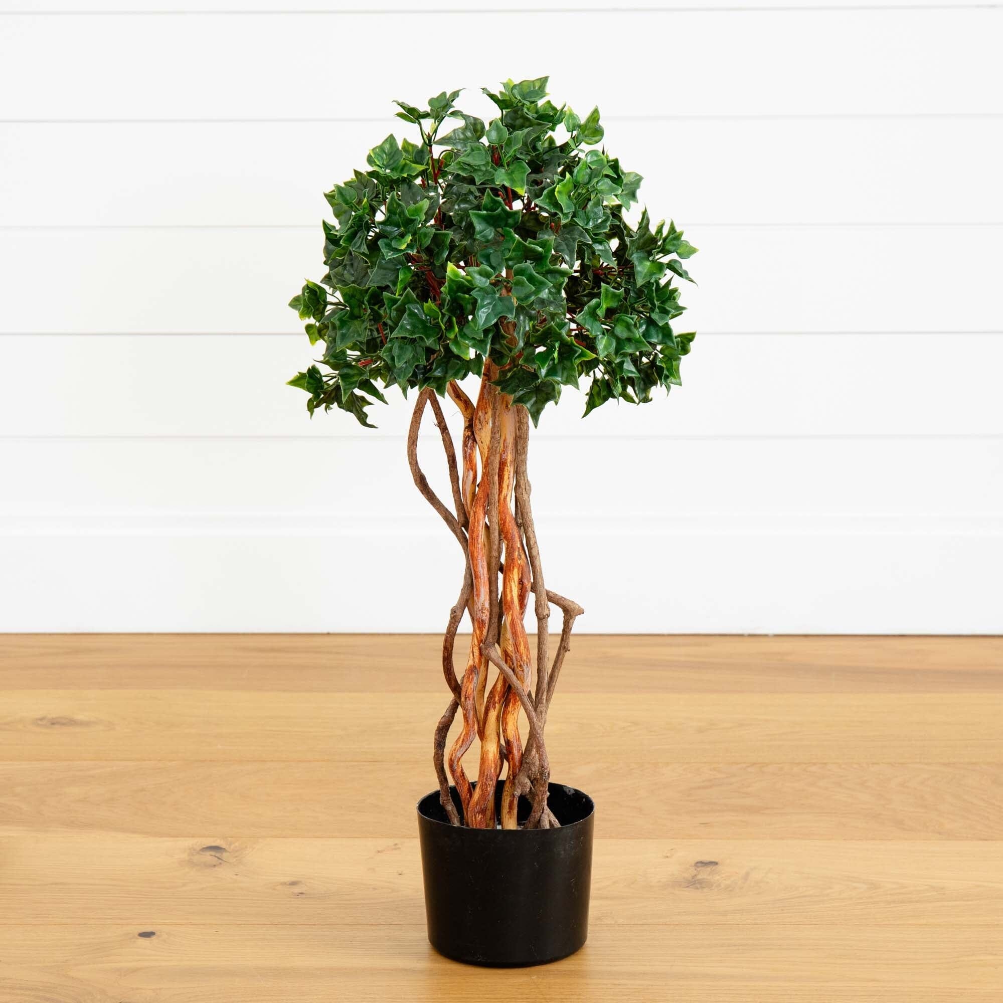 2.5’ English Ivy Topiary UV Resistant (Indoor/Outdoor)