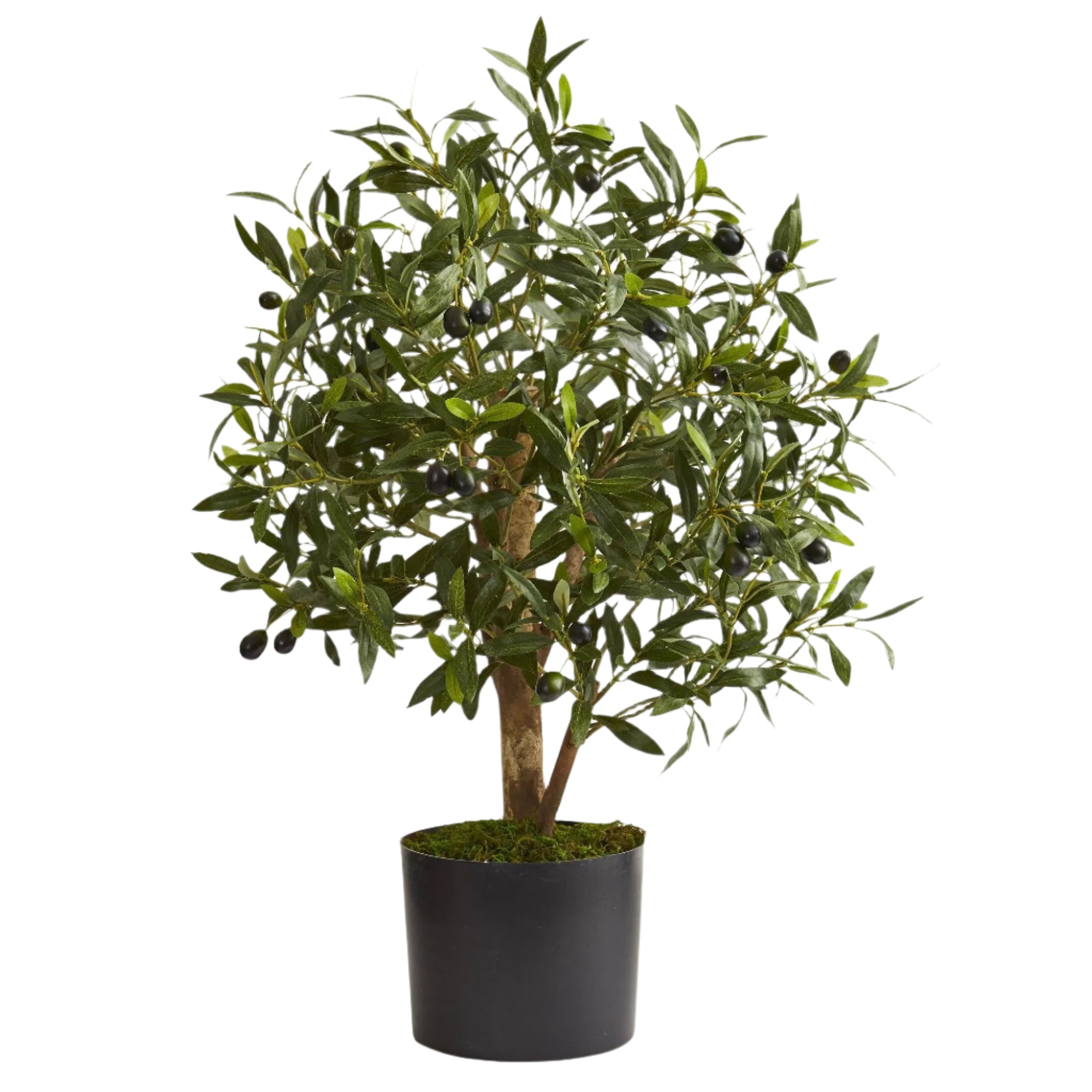 2' Olive Artificial Tree