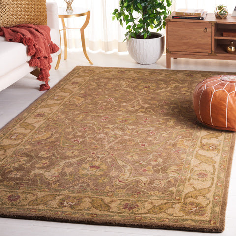 Antiquity Wool Rug in Brown and Gold