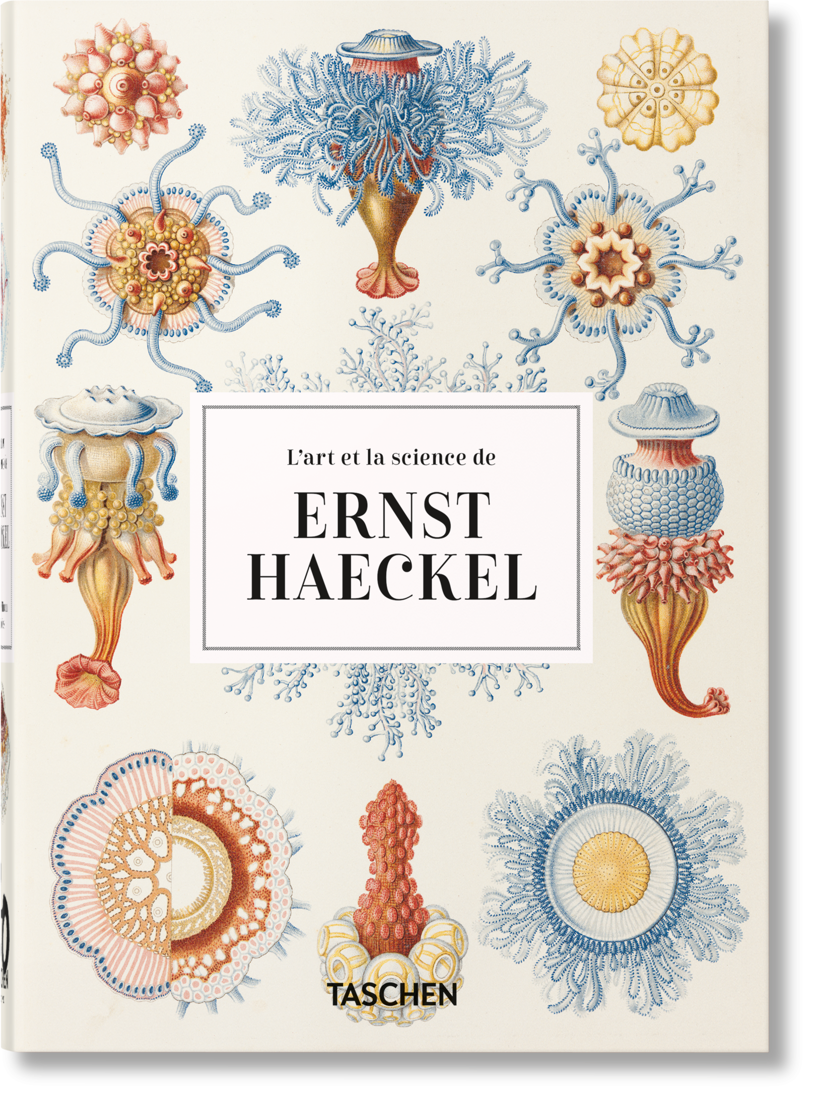 L’art et la science de Ernst Haeckel. 40th Ed. (French)