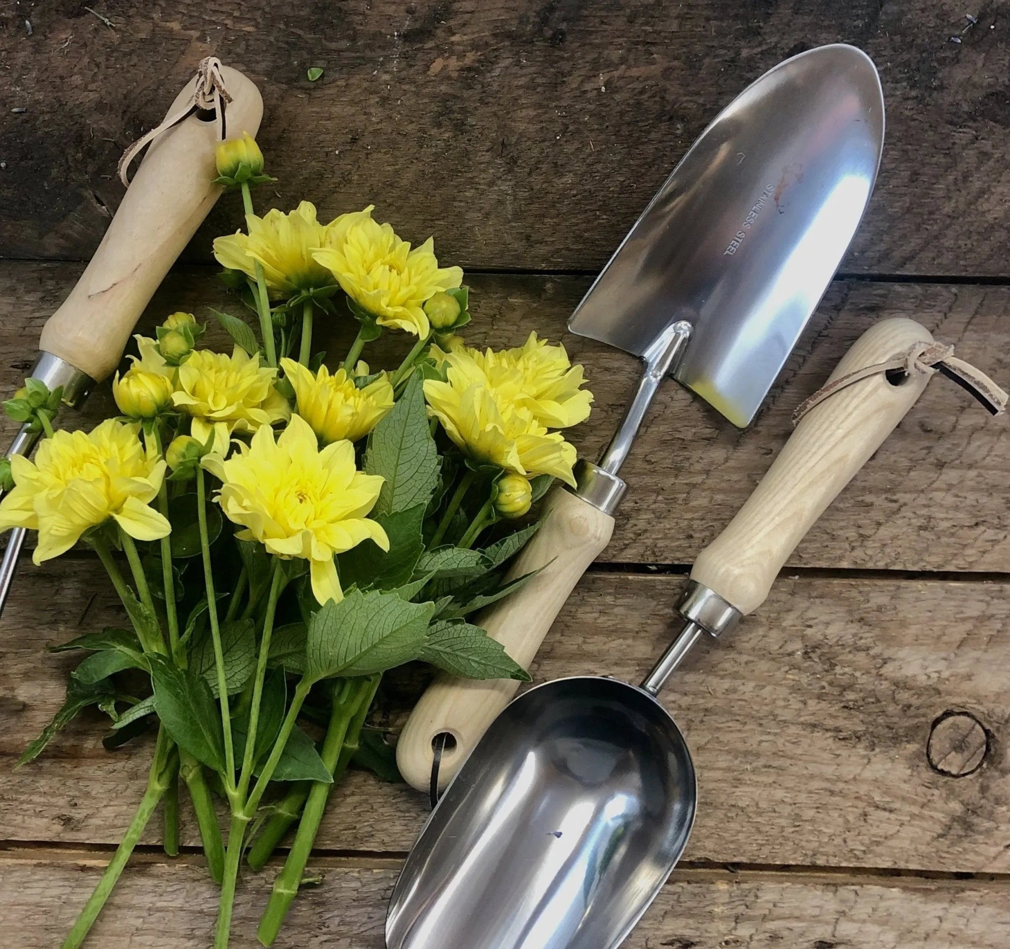 Garden Hand Tool Set - Hardwood and Stainless