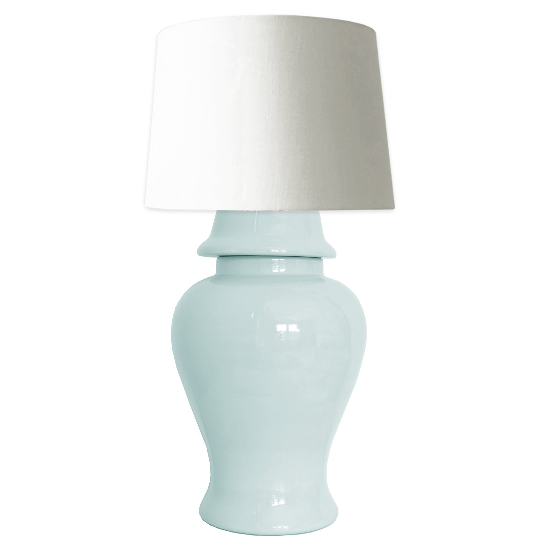 Robin's Egg Blue Ginger Jar Lamp