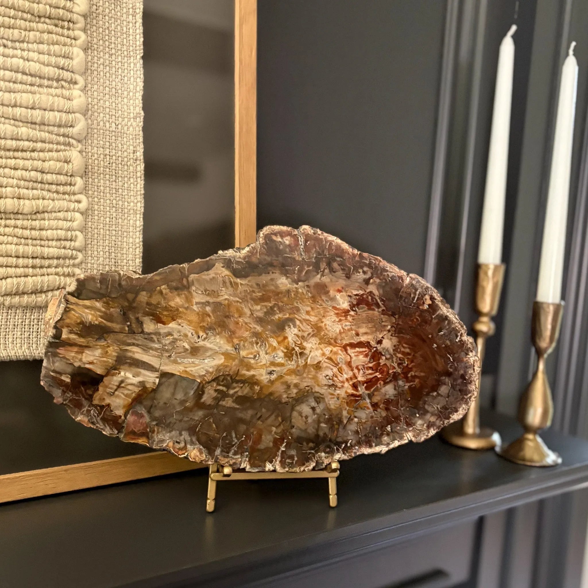 Madagascar Petrified Wood Slab