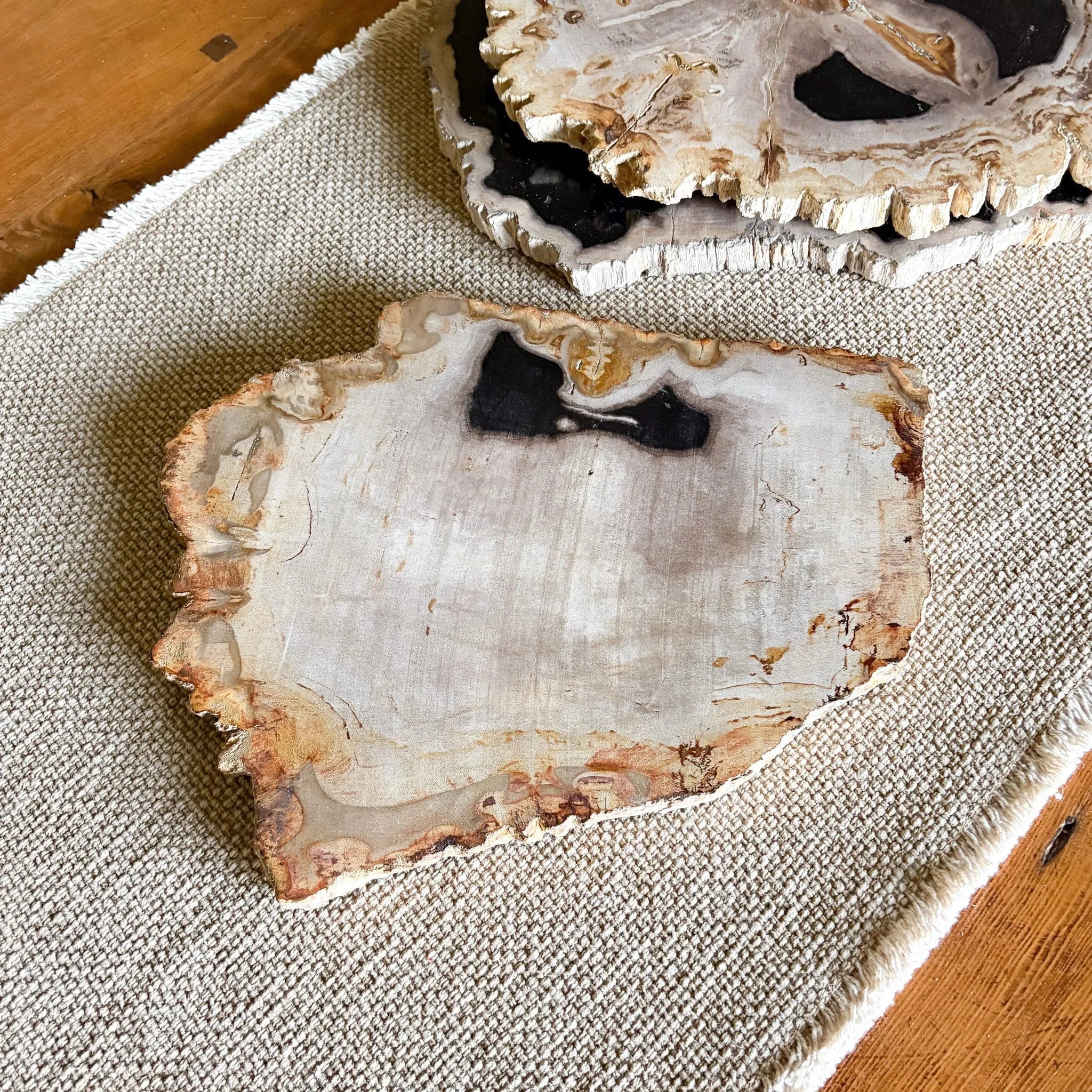 Natural Edge Petrified Wood Serving Board