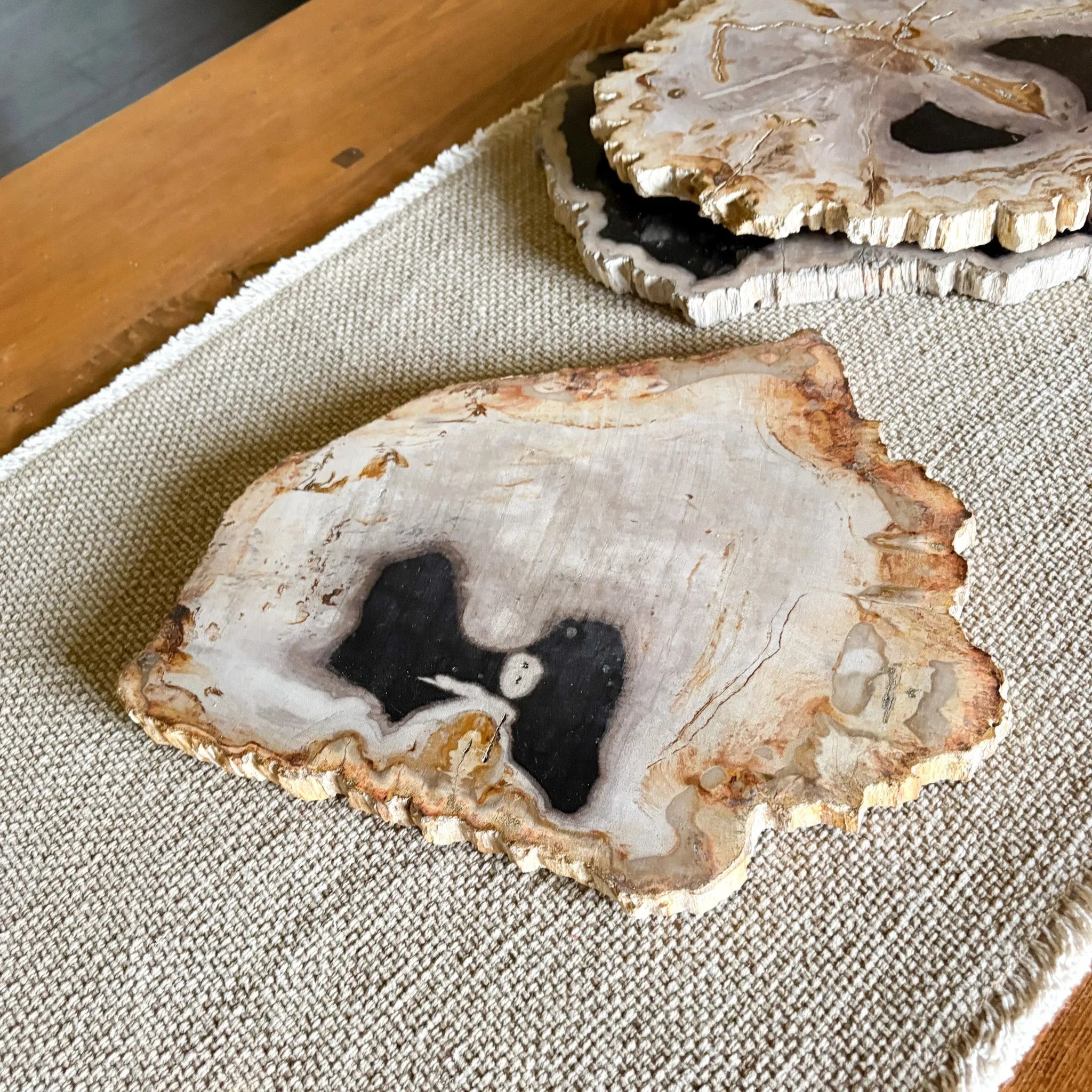 Natural Edge Petrified Wood Serving Board