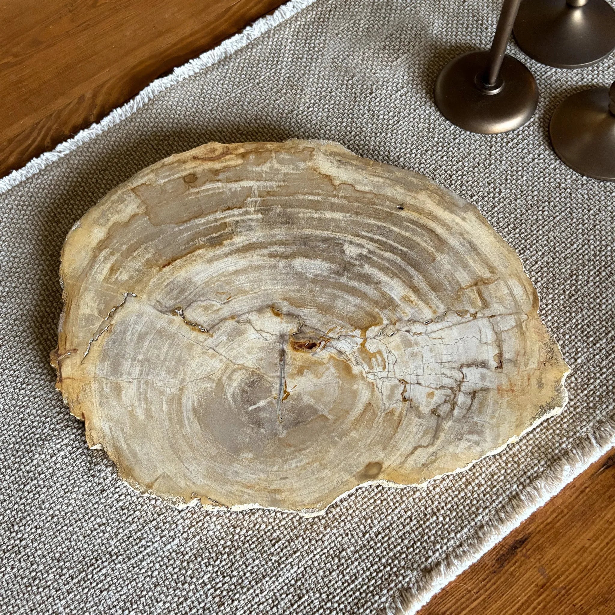 Natural Edge Petrified Wood Serving Board