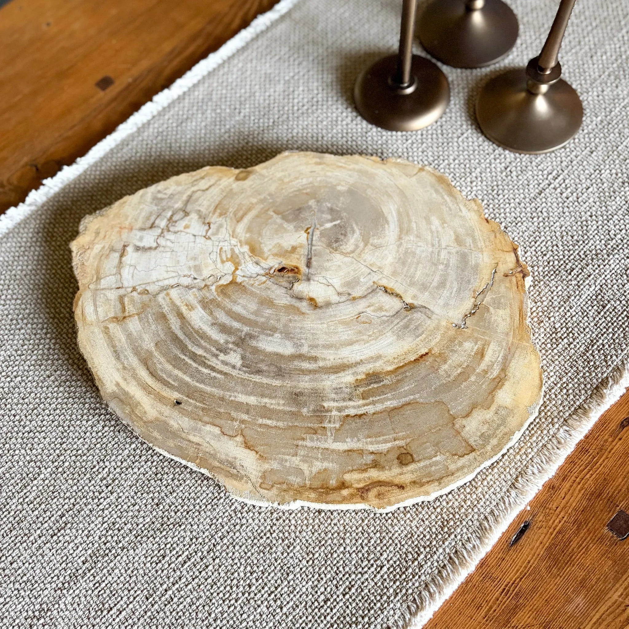 Natural Edge Petrified Wood Serving Board