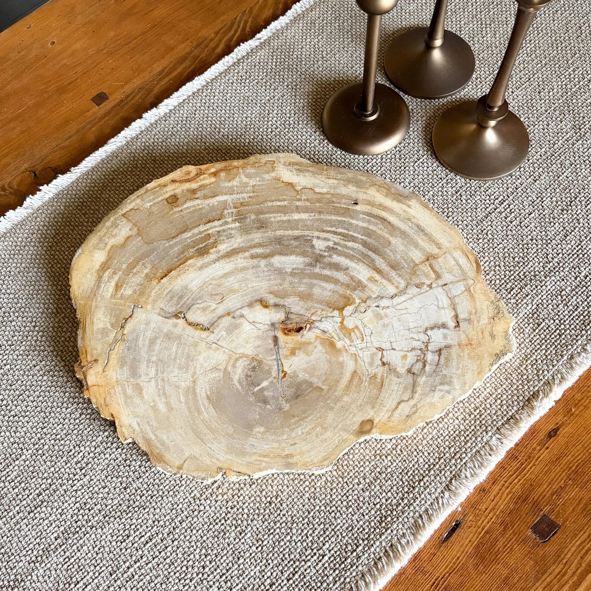 Natural Edge Petrified Wood Serving Board