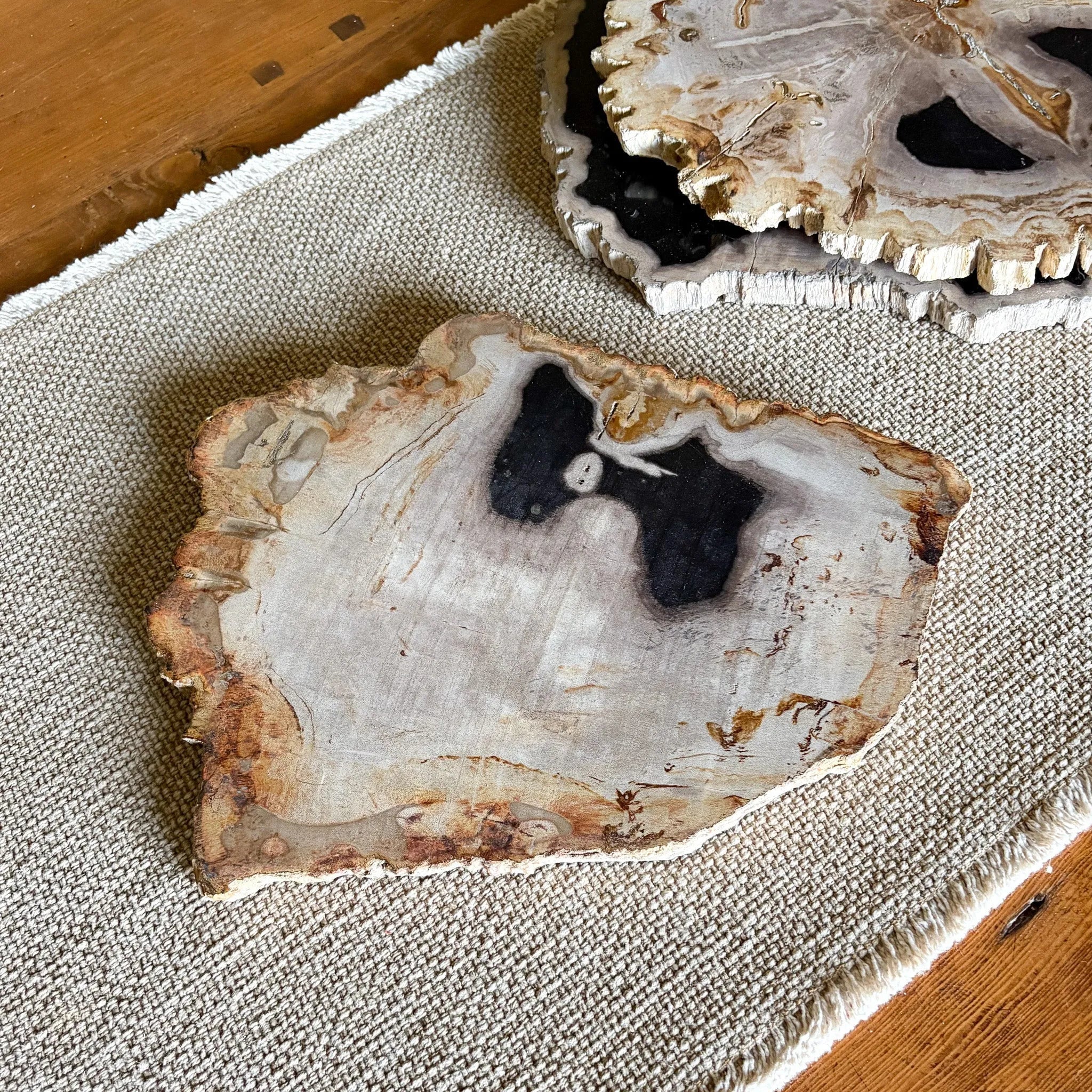 Natural Edge Petrified Wood Serving Board