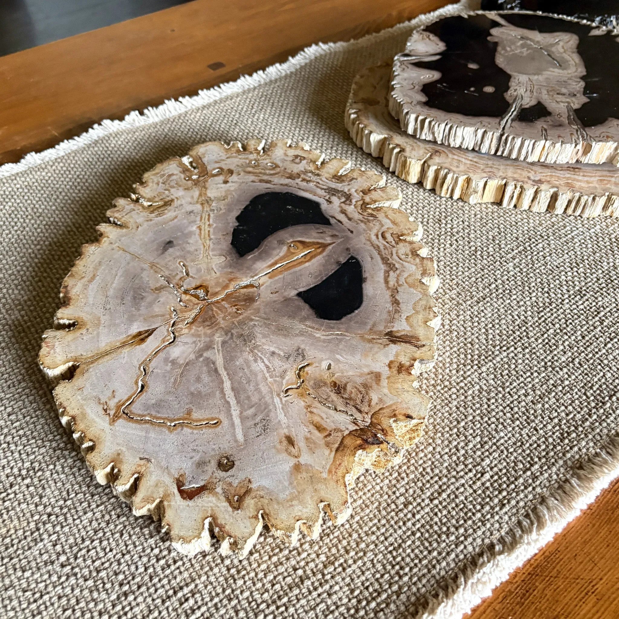 Natural Edge Petrified Wood Serving Board