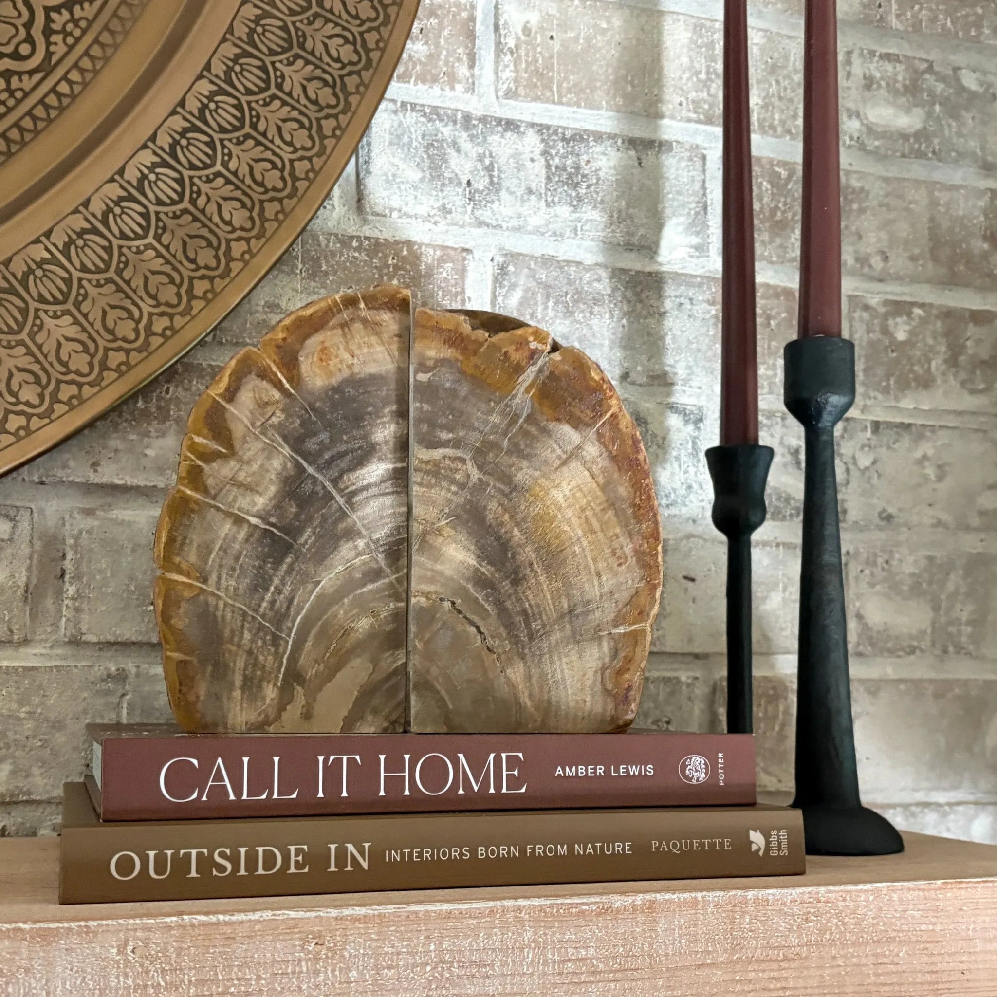 Petrified Wood Bookend Pair