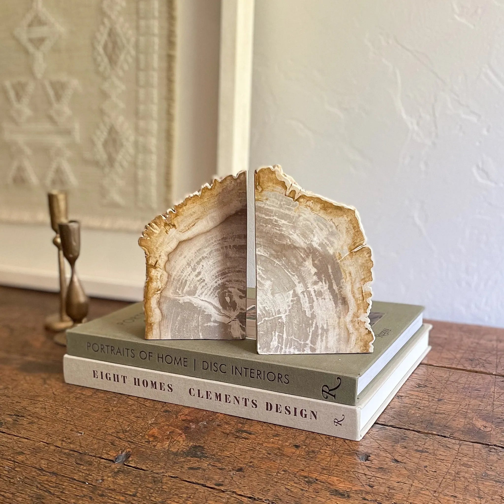 Petrified Wood Bookend Pair