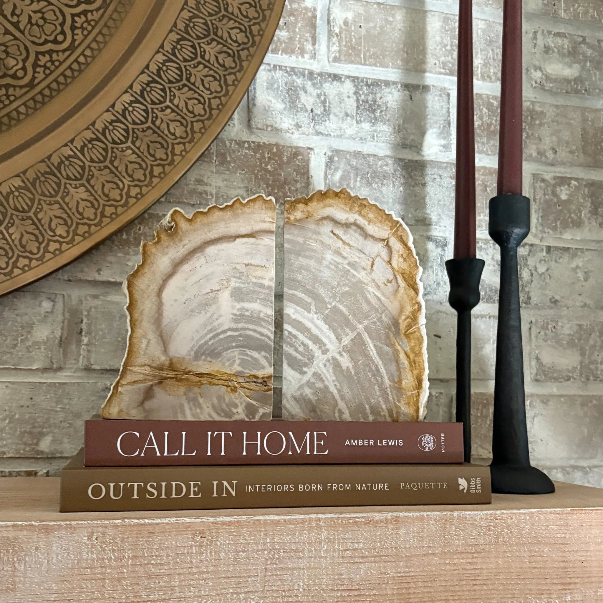 Petrified Wood Bookend Pair