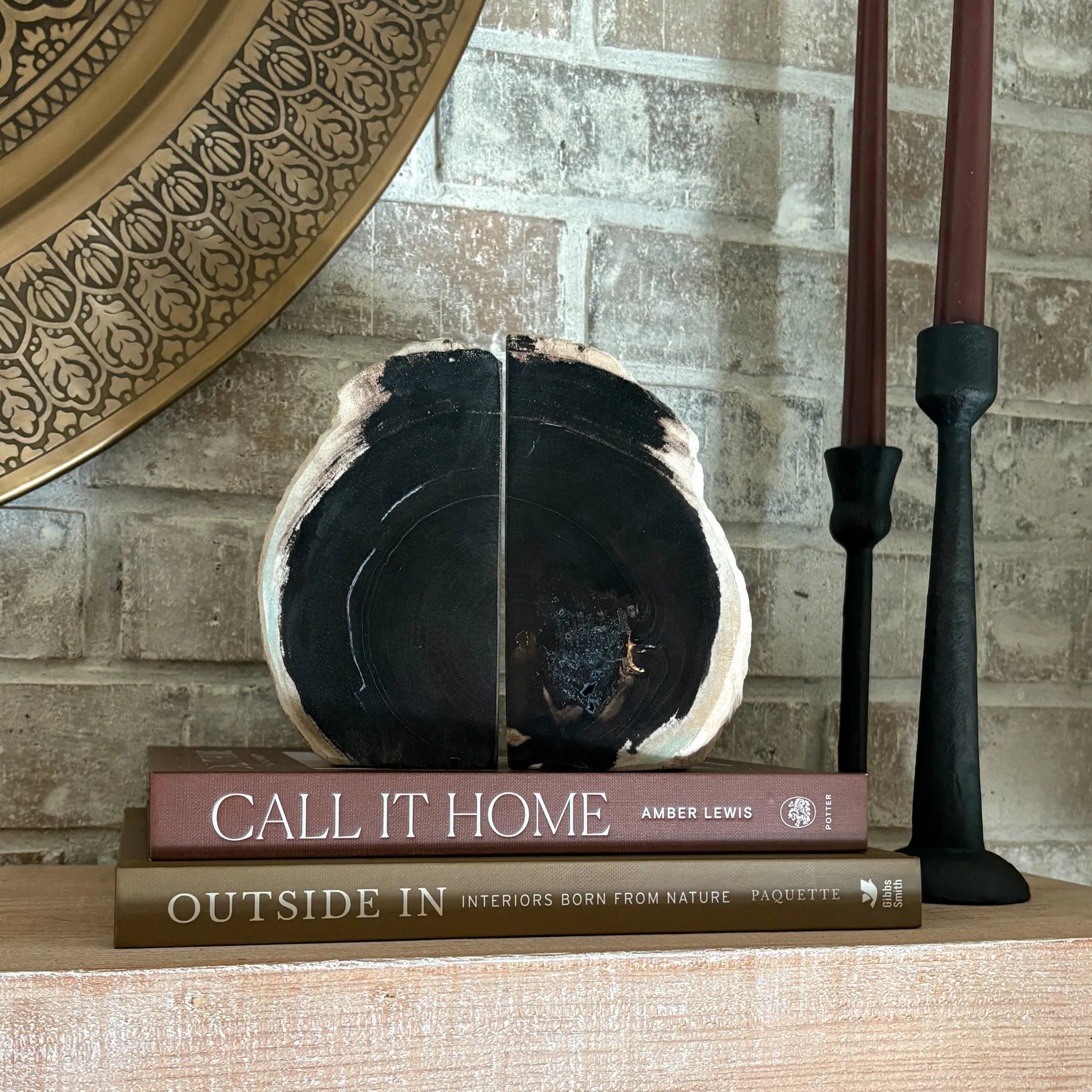 Petrified Wood Bookend Pair