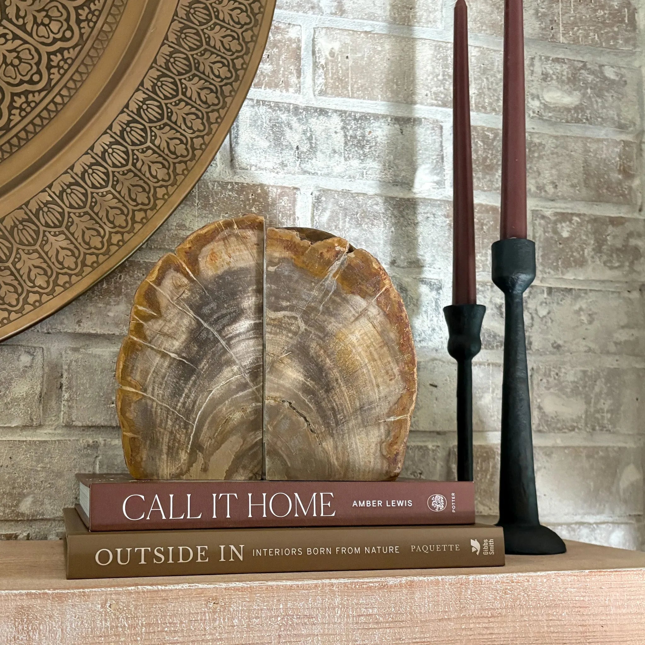 Petrified Wood Bookend Pair