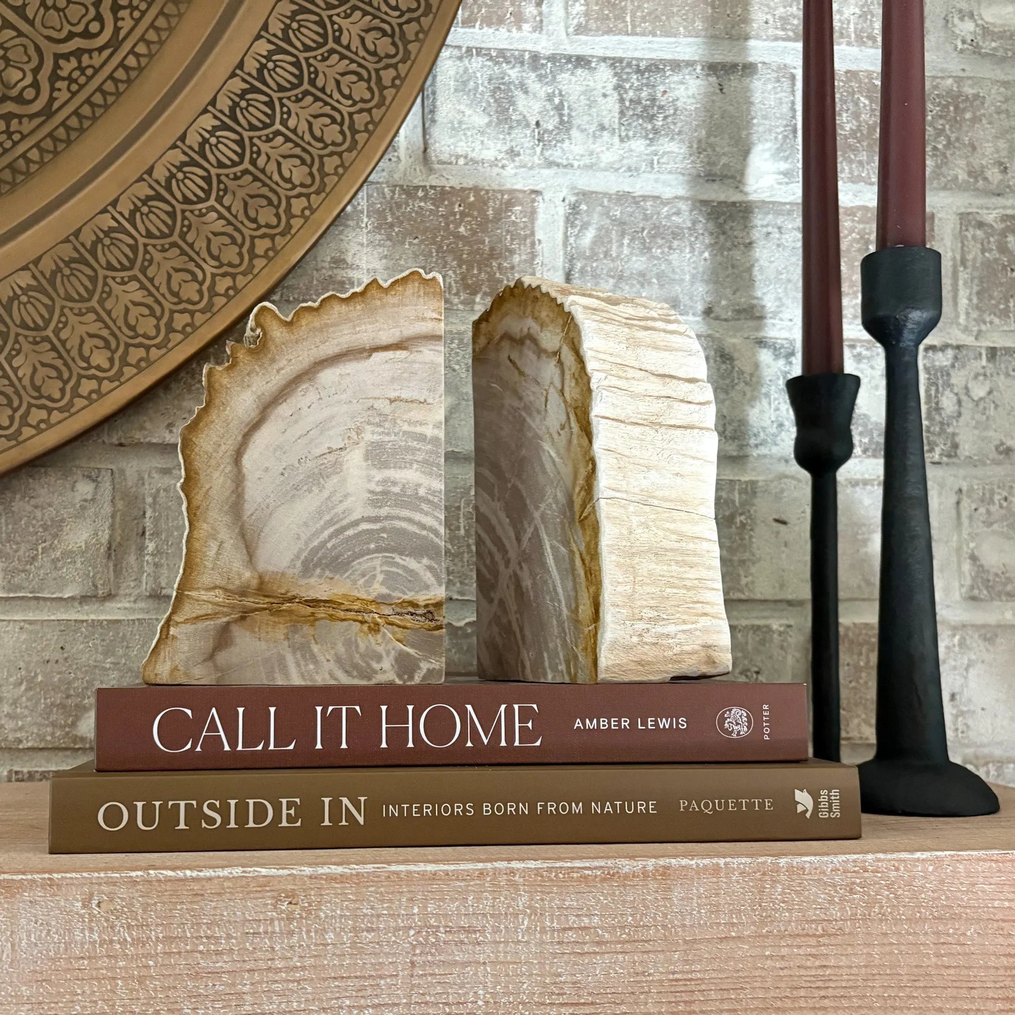 Petrified Wood Bookend Pair