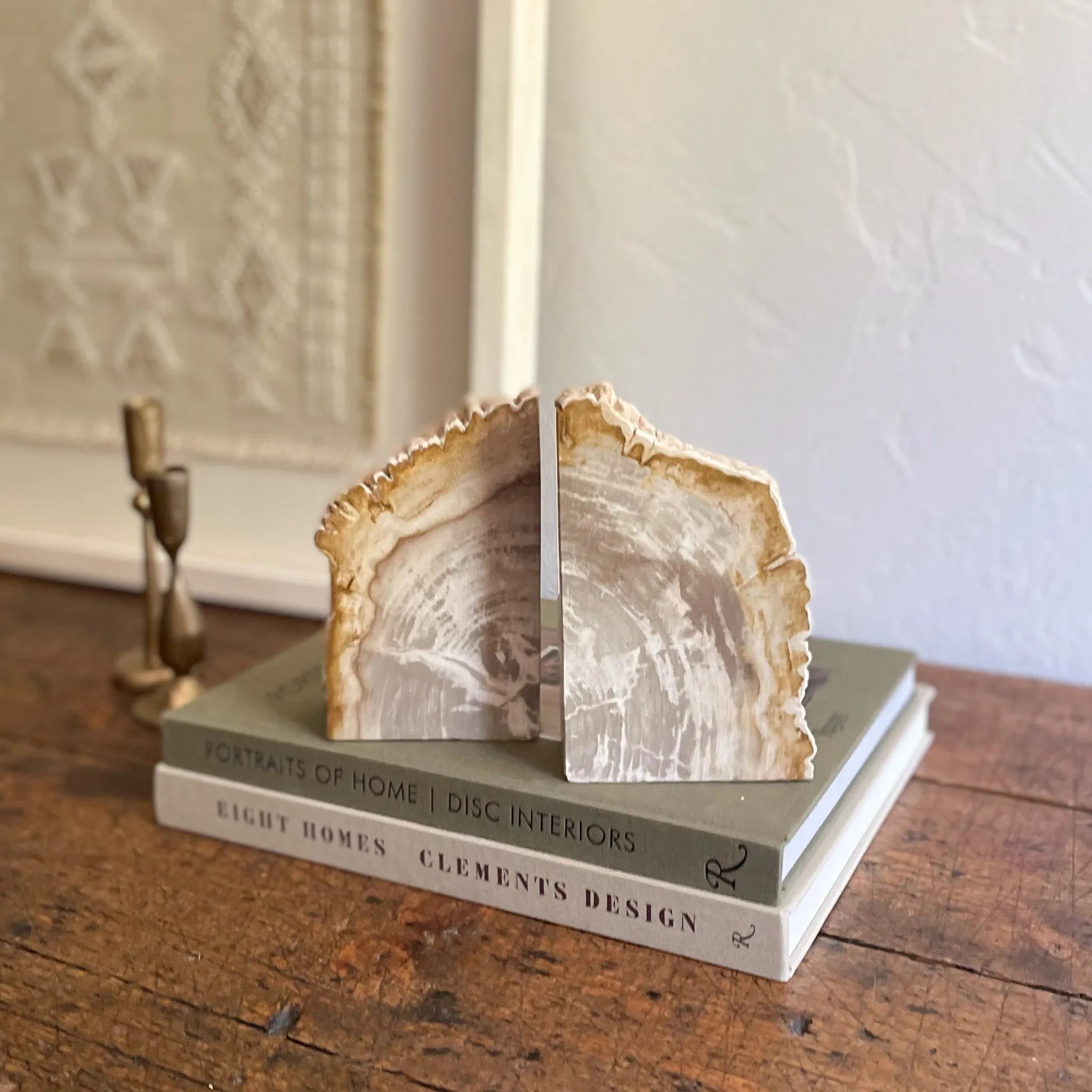 Petrified Wood Bookend Pair