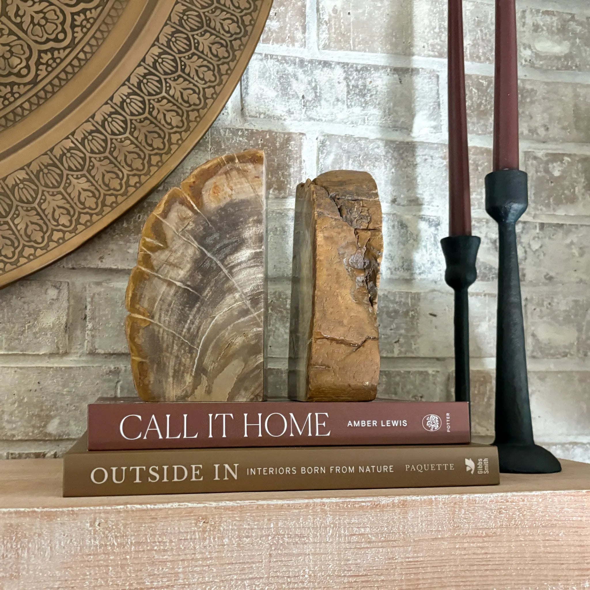 Petrified Wood Bookend Pair