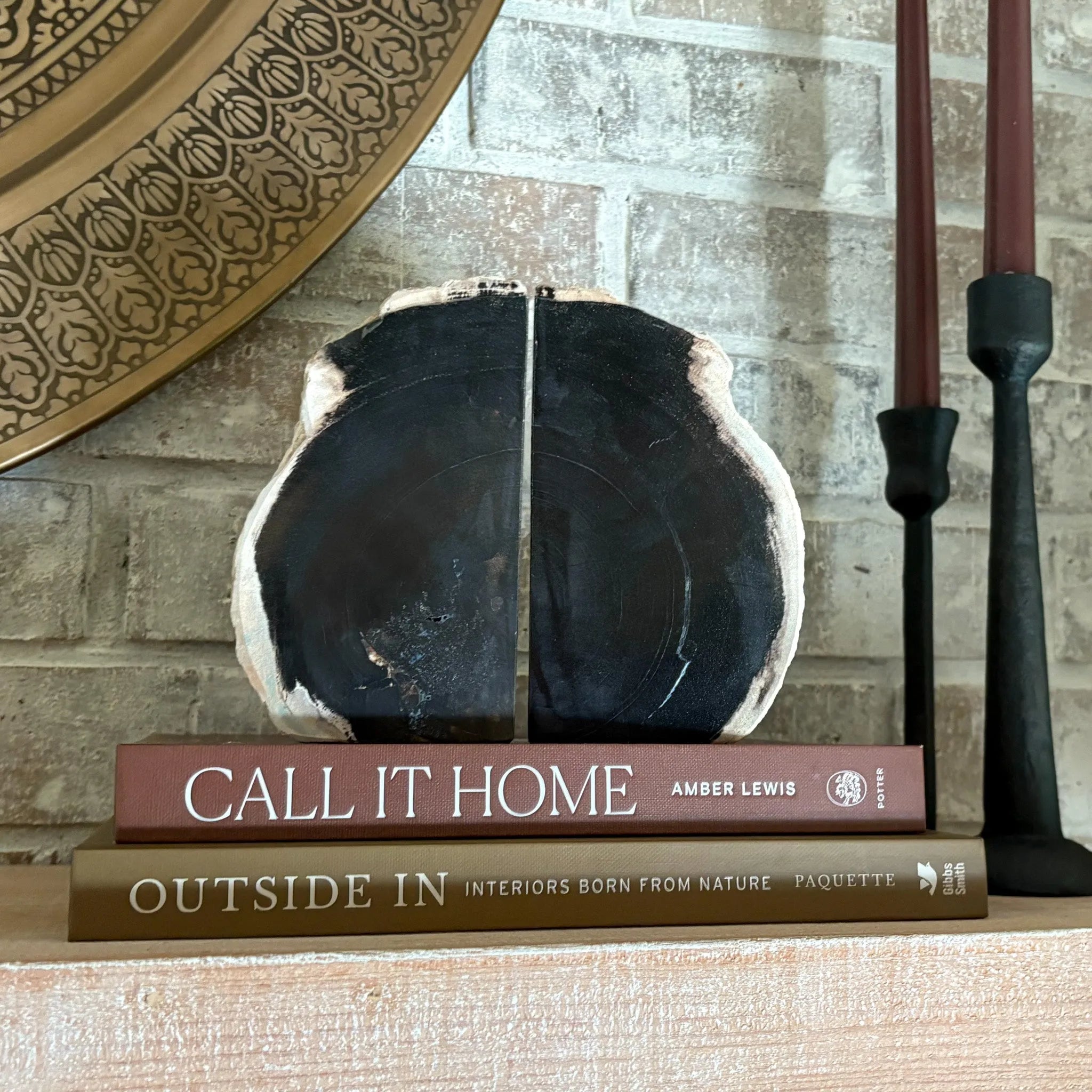 Petrified Wood Bookend Pair