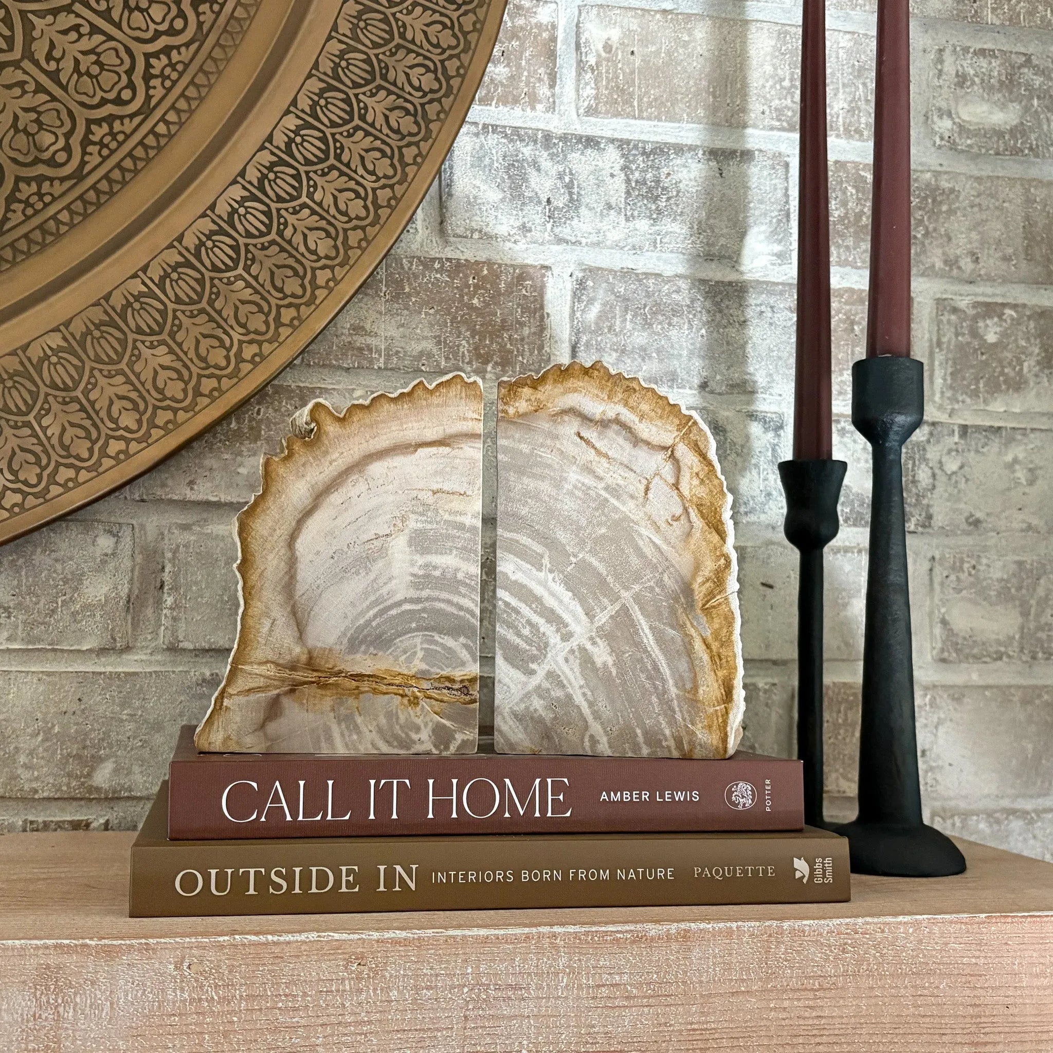 Petrified Wood Bookend Pair