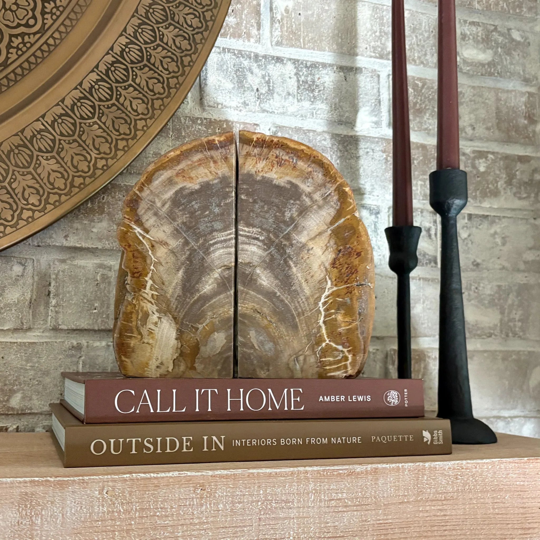 Petrified Wood Bookend Pair